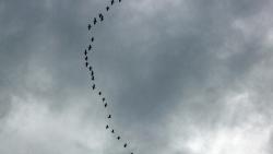 einfarbige-brasilien-unwetter