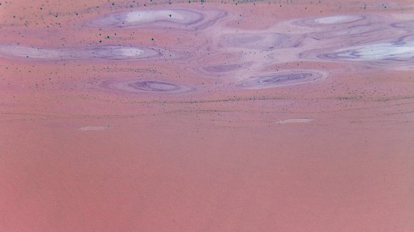 flecken-wasseroberflaeche-von-unten