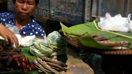 Asien Fisch Markt