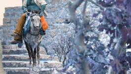 Pferd Maenner Treppe IR