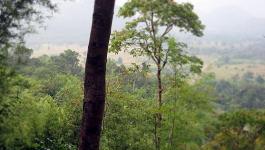 Thailand Wald Todeseisenbahn