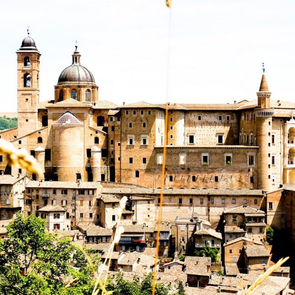 Dom-Urbino