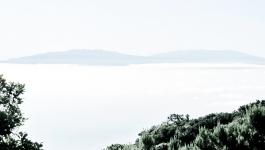 La Gomera Vegetation