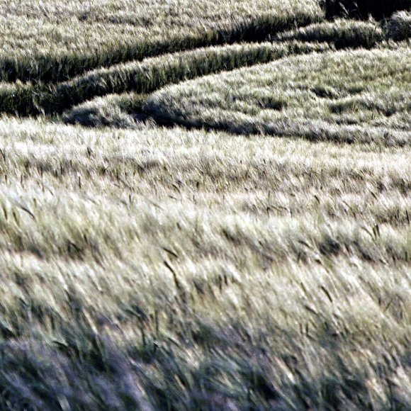 Ostdeutschland-Landschaft