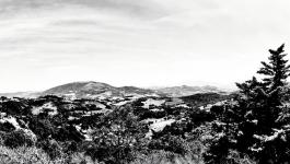 Panorama Urbino