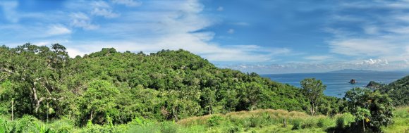 Panorama-Pastell-Blau-Baeume